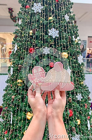 Female hands holding ginger cookies in the form of a hat and mittens, against the background of the Christmas tree Stock Photo