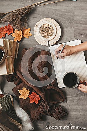 Female hands knitting sweater on the floor with autumn leaves and cup of coffee Stock Photo