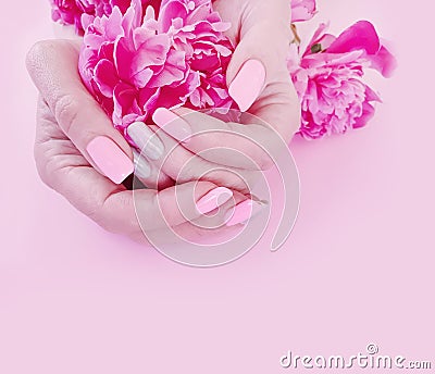 Female hands manicure style flower peony glamour on a pink background Stock Photo