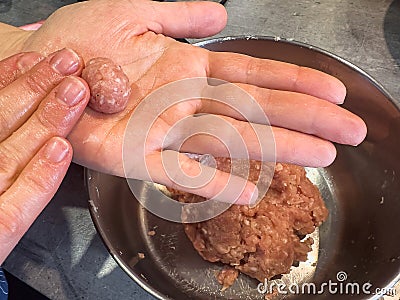 female hands mixing minced meat and make meatballs Stock Photo