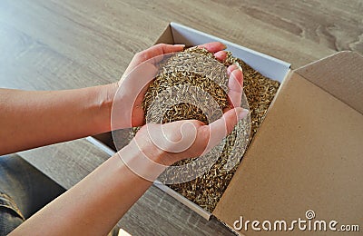 Female hands take grass seeds from a cardboard shipping box. Preparing for sowing a lawn Stock Photo