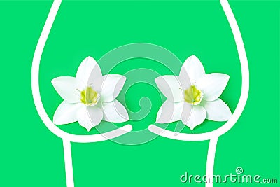 Female health concept. breast cancer, mastopathy. Green background, copy space Stock Photo