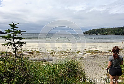 A female hiker exploring the sandy beaches of nels bight and experimental bight, surrounded by forest and the pacific ocean Stock Photo