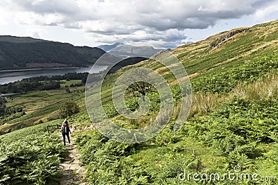 Female Hiker, in The Lake District UK Editorial Stock Photo