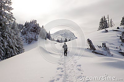 Woman hiking into the winter mountain landscape of the Alps of Switzerland with snowshoes on a beautiful day Editorial Stock Photo