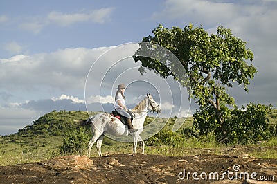 Female horseback rider and horse ride overlooking Lewa Wildlife Conservancy in North Kenya, Africa Editorial Stock Photo