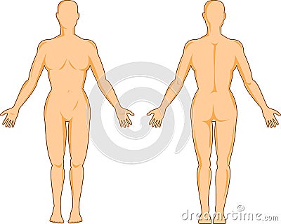 Female human anatomy Cartoon Illustration