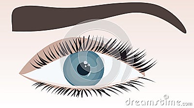 Female human eye close-up Vector Illustration