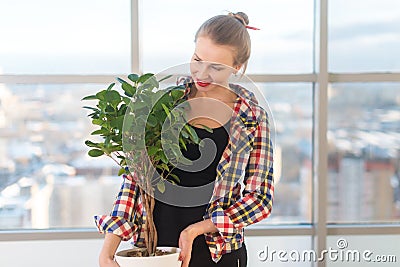 Female interior designer carrying decorative plant, holding pot. Front view portrait of florist looking at the tree in a Stock Photo