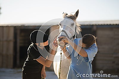 Female jockey and vet examining horse mouth Editorial Stock Photo