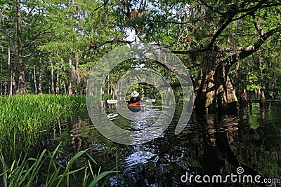 Female kayaker on Fisheating Creek, Florida. Stock Photo