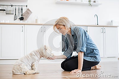 Female keeper giving treat for command during home workout Stock Photo