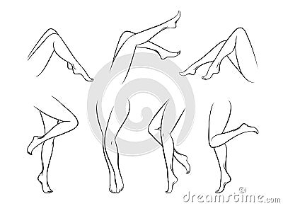 Female legs Vector Illustration