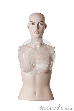 Female mannequin torso | Studio isolated Stock Photo