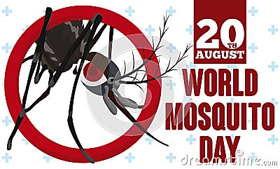 Female Mosquito Coming Out of a Ring for Mosquito Day, Vector Illustration Vector Illustration
