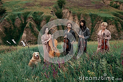 Female musical quartet with violins and cello prepares to play at flowering meadow. Stock Photo