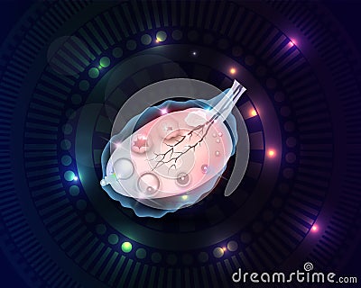 Female ovary abstract background Vector Illustration