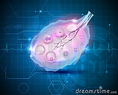 Female ovary abstract blue background Vector Illustration
