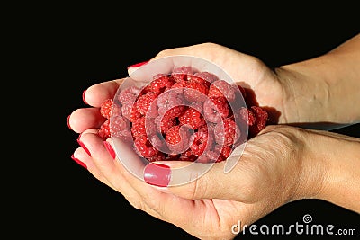 In female palms lies red, juicy raspberries Stock Photo