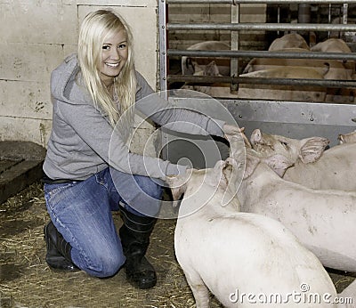 Female with piglets Stock Photo