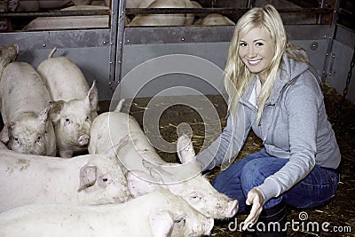 Female with piglets Stock Photo