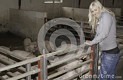 Female with piglets Stock Photo