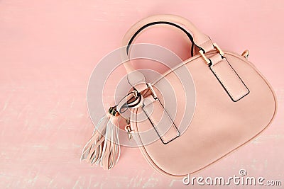 Female pink bag Stock Photo