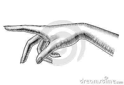 Female pointing hand isolated on white Vector Illustration