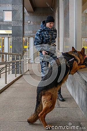 Female police officer with a trained german shepherd dog sniffs out drugs or bomb in luggage Stock Photo