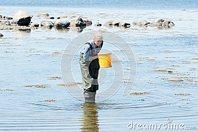 Female pupil in water Editorial Stock Photo