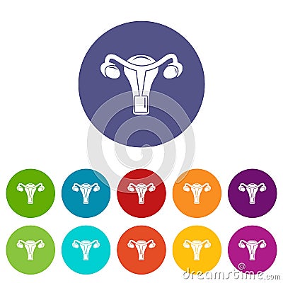 Female reproductive organ icons set vector color Vector Illustration