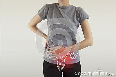 Female Reproductive System Anatomy Stock Photo