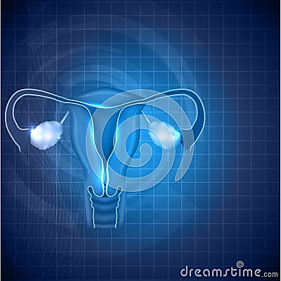 Female Reproductive System Background Stock Vector - Image: 39095738