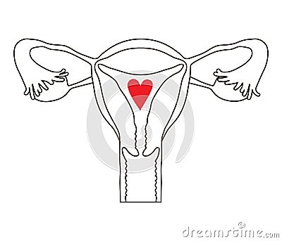 Female Reproductive System. Gynecology Icon Vector Illustration