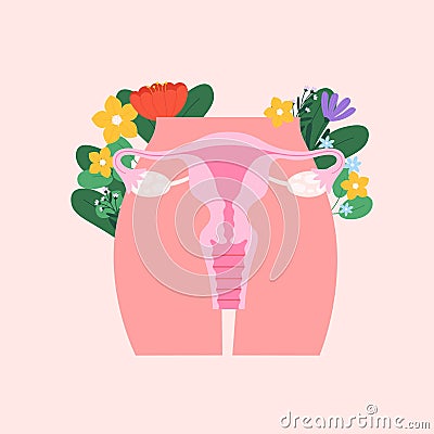 Female reproductive system poster. Women period, healthy maternity and pregnancy. Uterus and ovaries, cartoon gynecology Vector Illustration