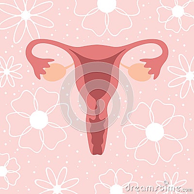 female reproductive system women uterus ovary graphic Vector Illustration