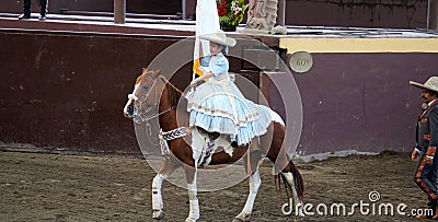 Female rider over her horse Editorial Stock Photo