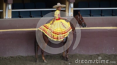 Female rider over a horse Editorial Stock Photo