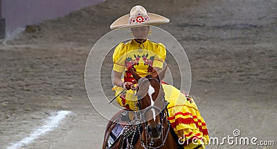 Female rider in yellow dress holding reins Editorial Stock Photo