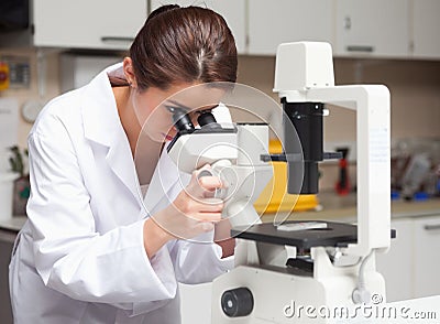 Female science student looking in a microscope Stock Photo