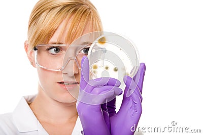 Female scientisc checks petri dish with agar jelly Stock Photo