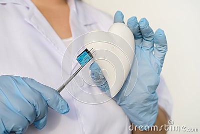 female scientist, doctor holding heart model, microprocessor, microchip, biochip tweezers for immunocytochemical studies heart, Stock Photo