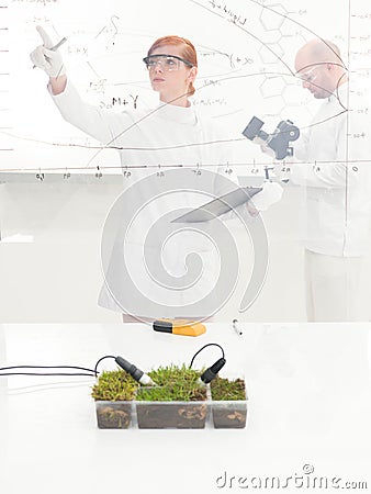 Female scientist monitoring a plant experiment Stock Photo