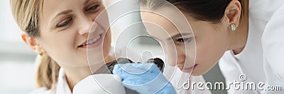 Female scientists chemists looking through microscope in laboratory Stock Photo