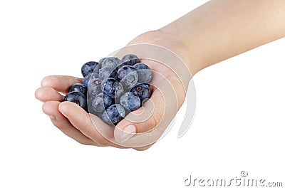 Female teen hand holding washed blueberries Stock Photo