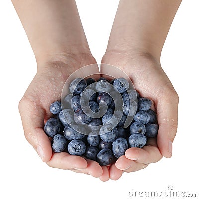 Female teen hands holding washed blueberries Stock Photo