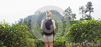 Female tourist enjoying beautiful nature of tea plantations, Sri Lanka. Stock Photo