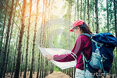 Female tourist travel in pine woods trip hiking during vacation. Travel and Wild nature concept. Lifestyle and activities of woman Stock Photo