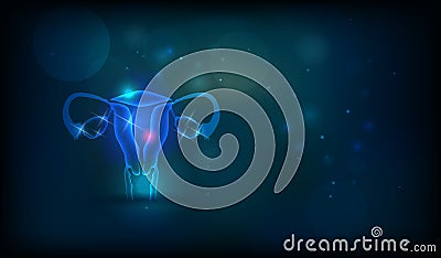 Female uterus abstract background Vector Illustration