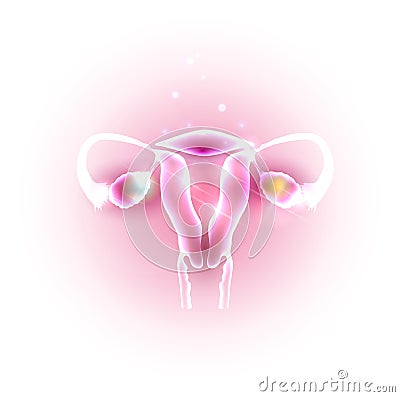 Female uterus and ovaries Vector Illustration